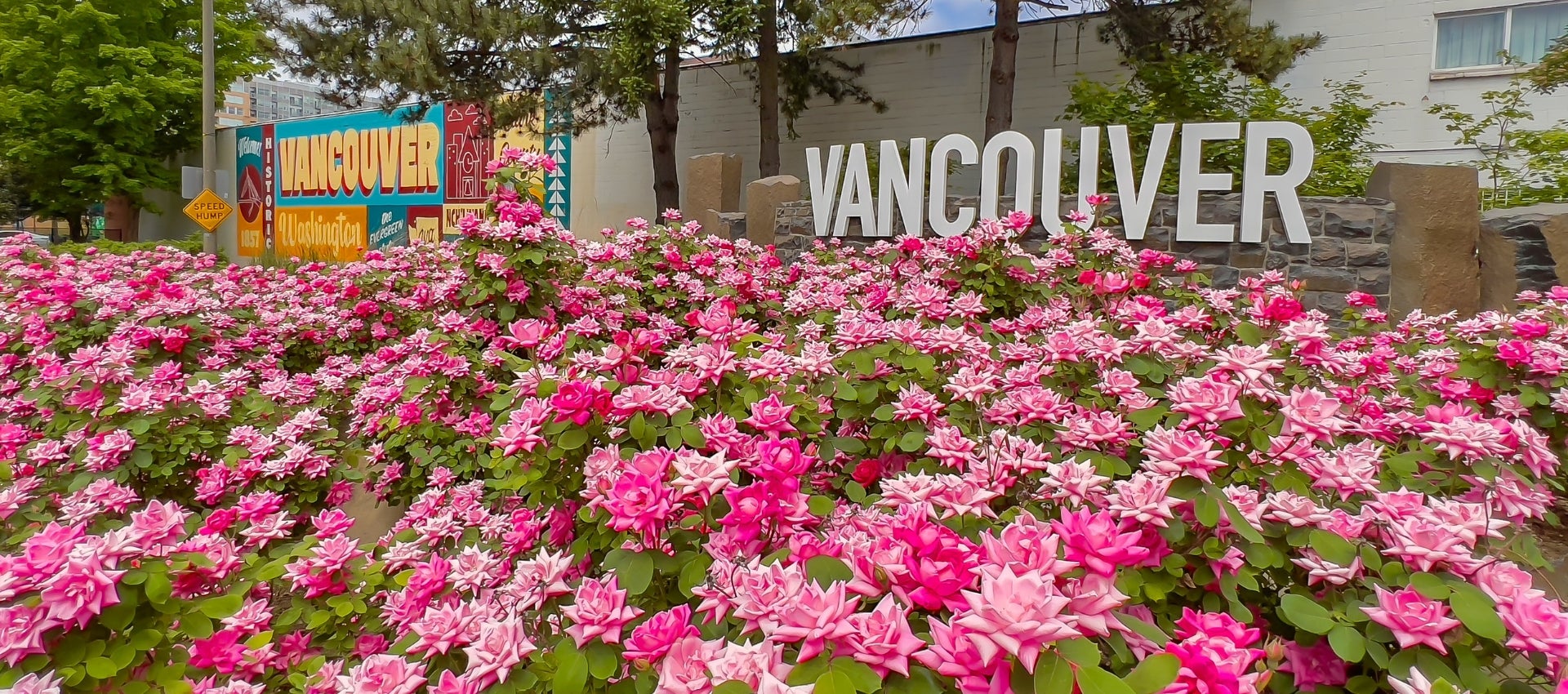 flowers in bloom at entrance to downtown Vancouver on 6th