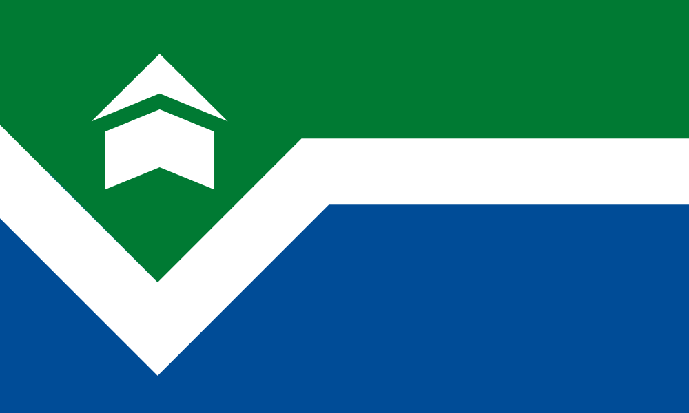 Flag shows green top, angular building icon, white rigid curved line, blue bottom