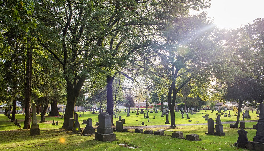 Tree Walk at Old City Cemetery