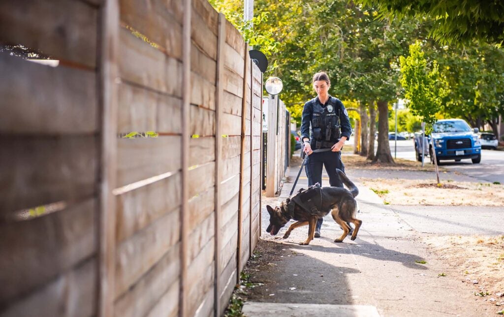 Officer with K9 working around fenced area