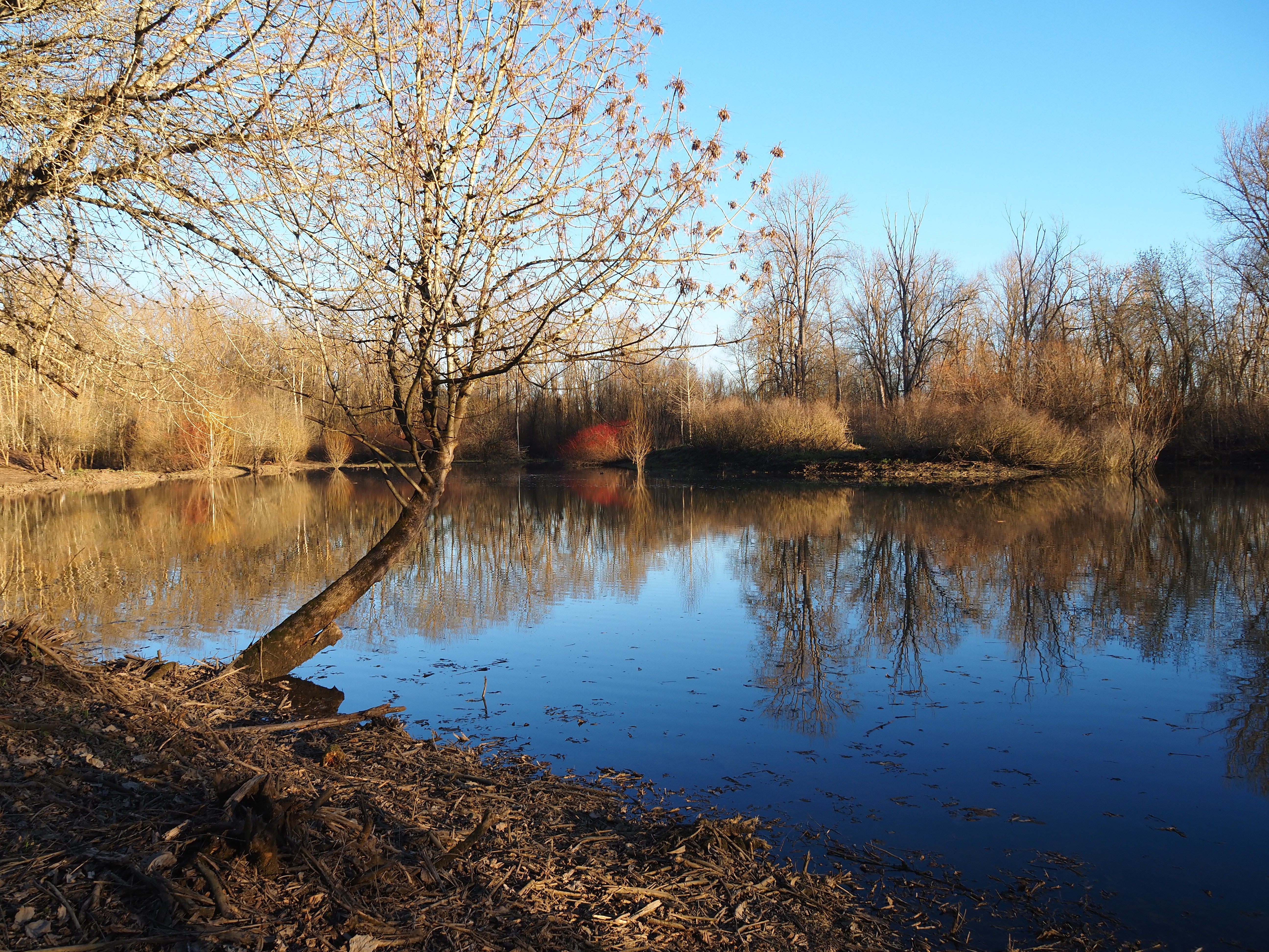 Seasonal wetlands are full of water on a bright winter day.