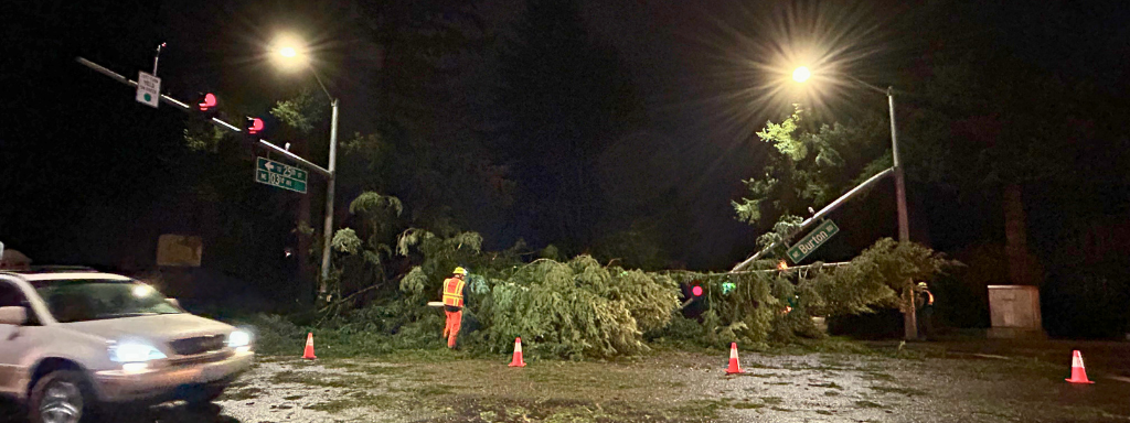 Downed trees, power outage and downed streetlights due to high winds in Vancouver 2025.