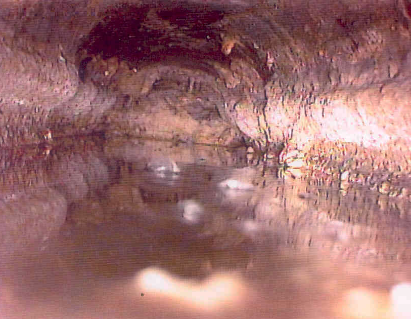 Fats, oils and grease clog a pipe