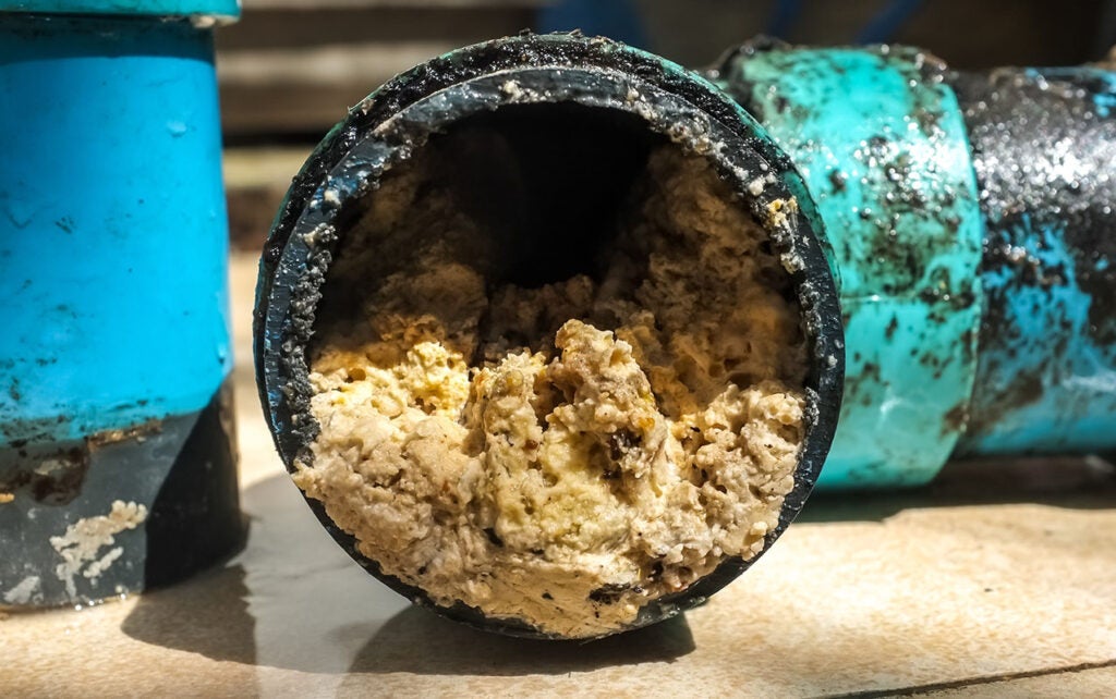 A pipe clogged with thick fats, oil and grease