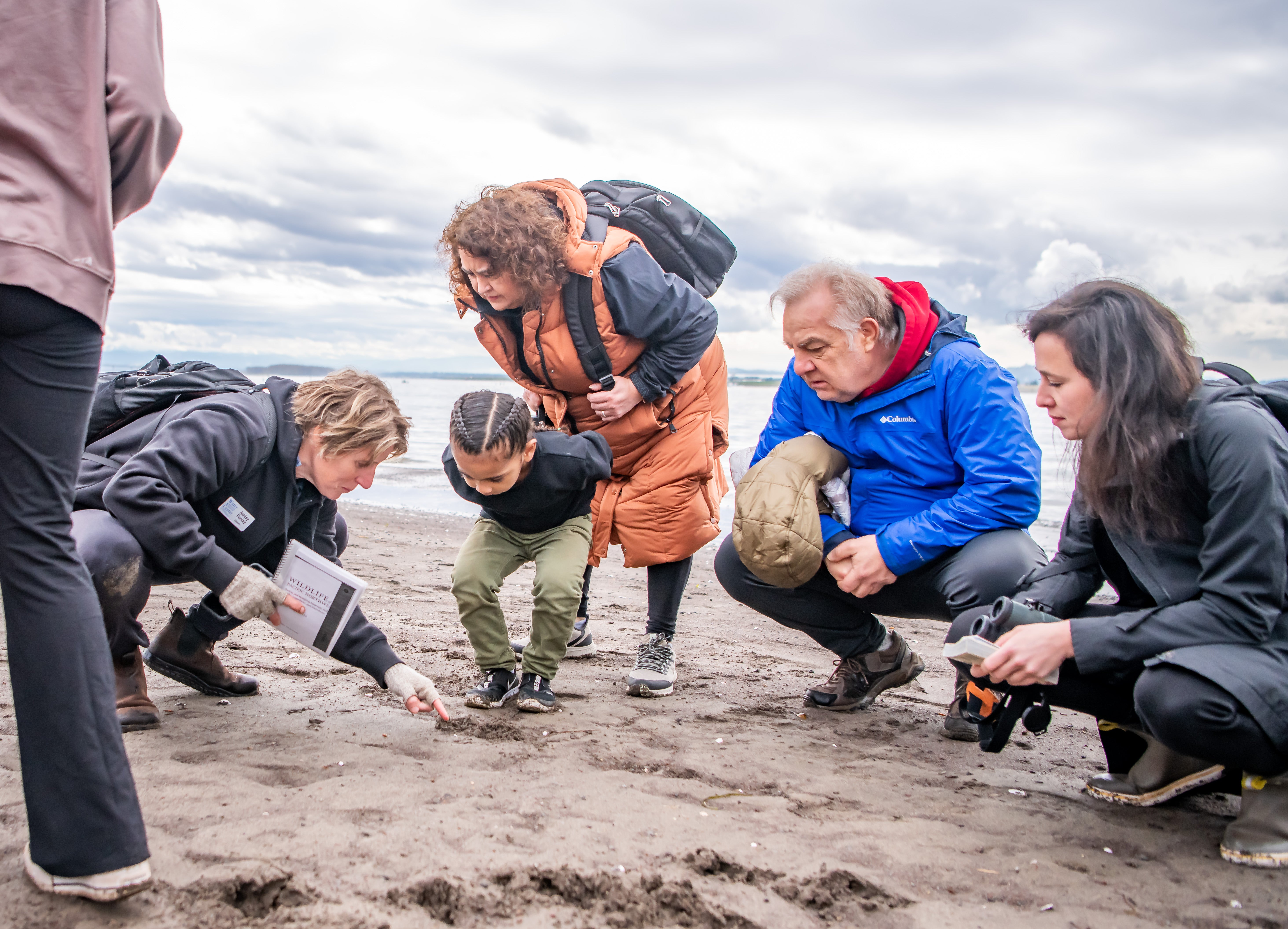 People on the beach looking at animal tracks.