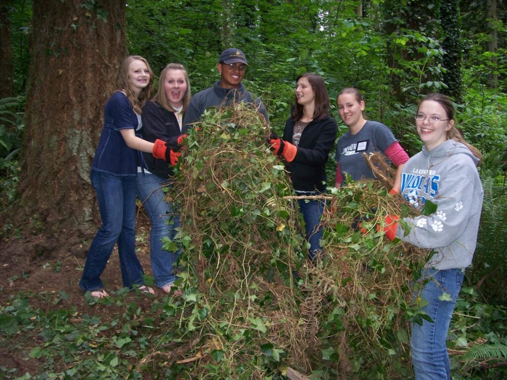 A group of volunteers removes ivy around a tree.