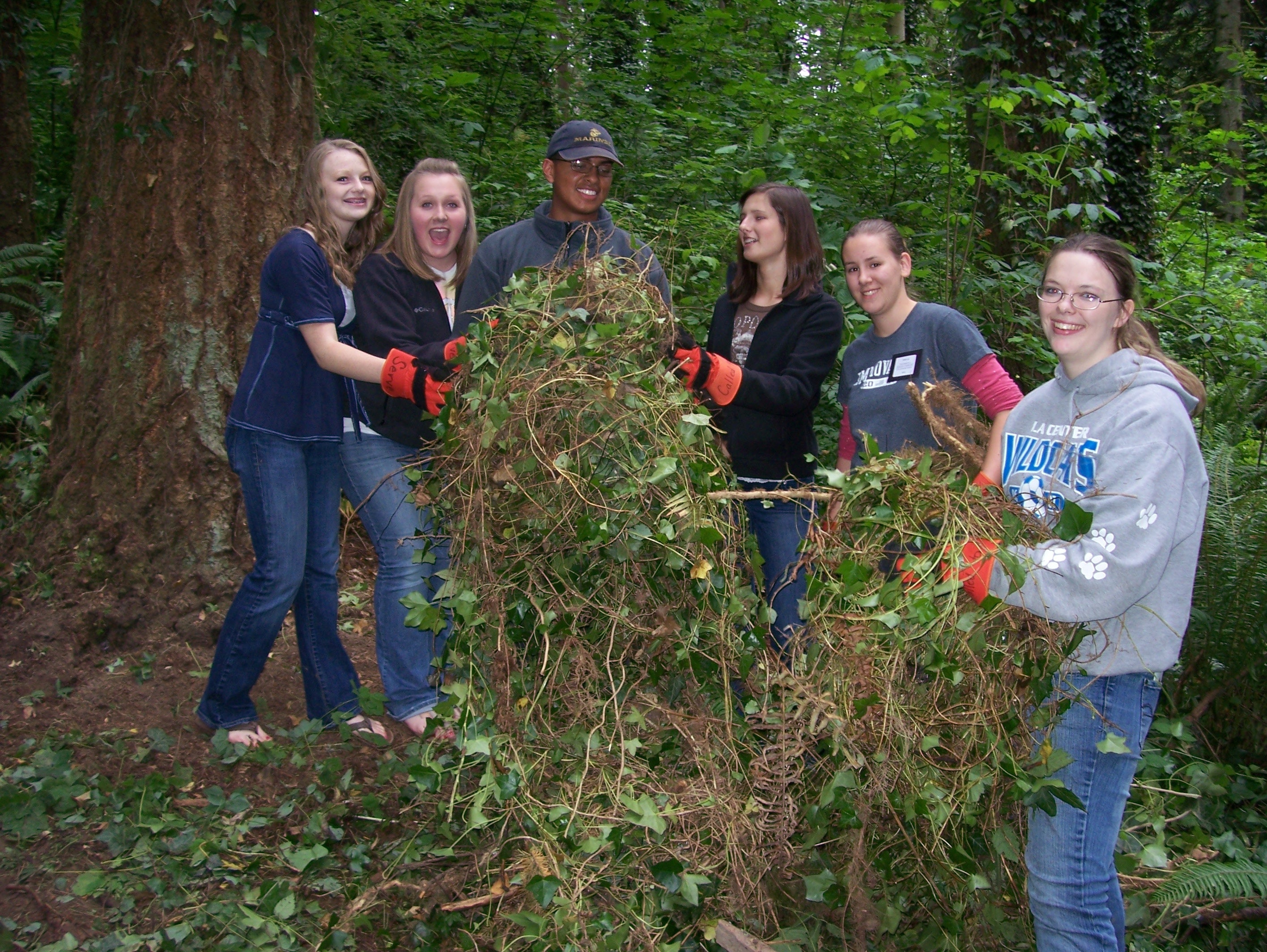 A group of volunteers removes ivy around a tree.
