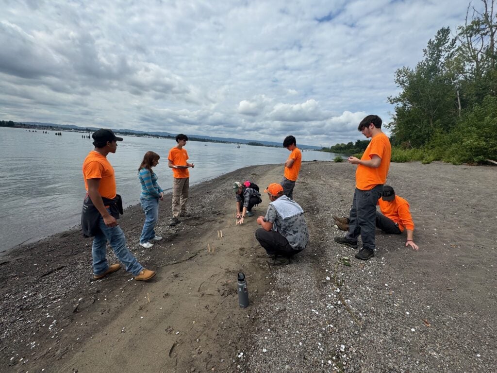 People on the beach looking at animal tracks in the sand.