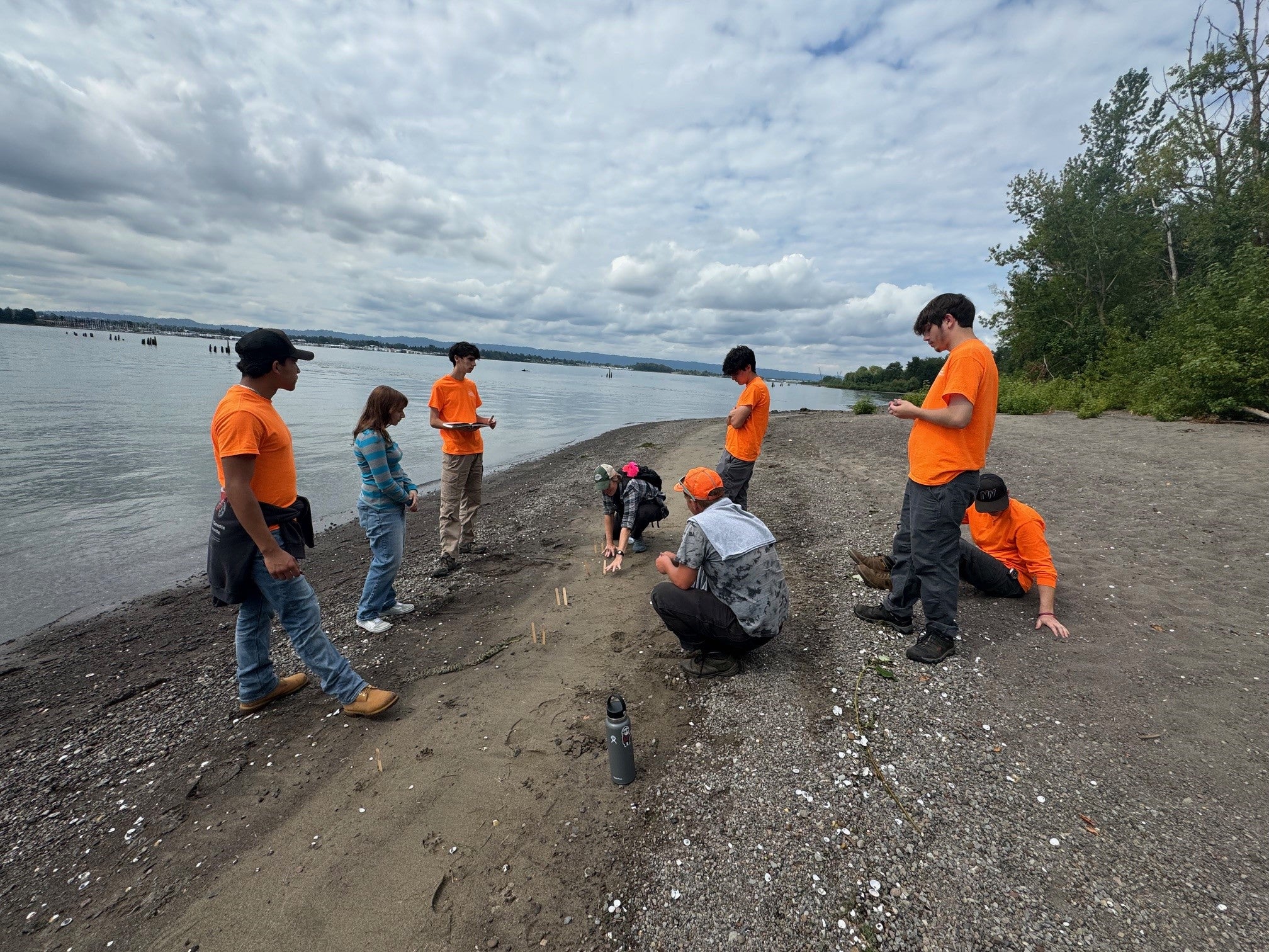 People on the beach looking at animal tracks in the sand.