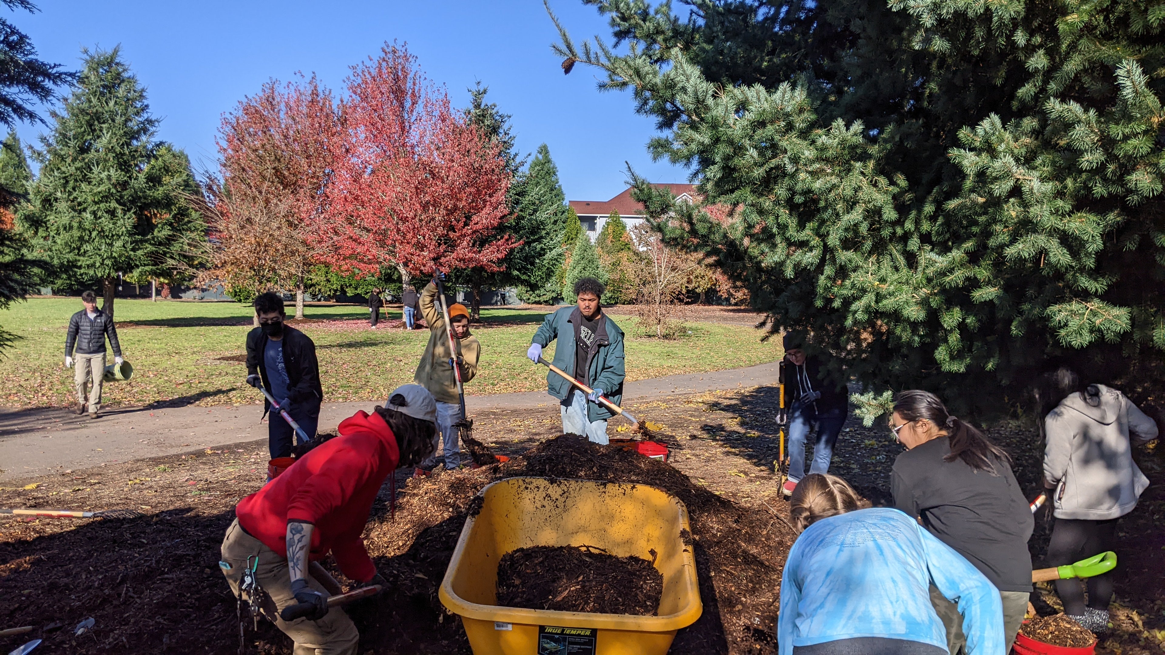 Volunteers spread woodchips at a Naturespace in a Vancouver park