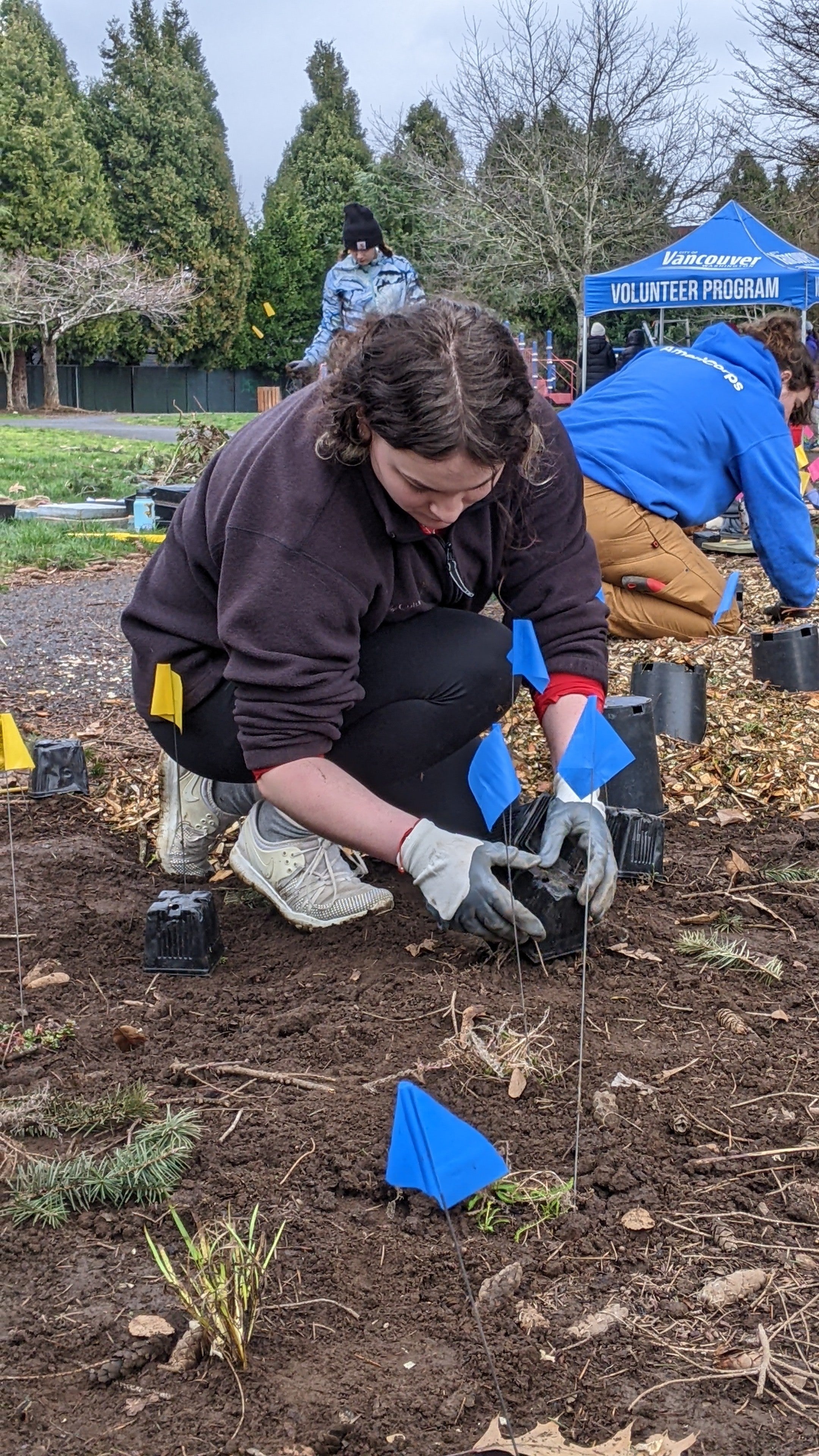 people planting small trees